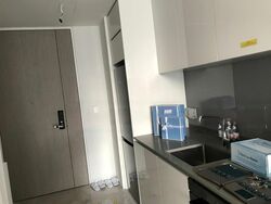 Amber Park (D15), Condominium #465008811